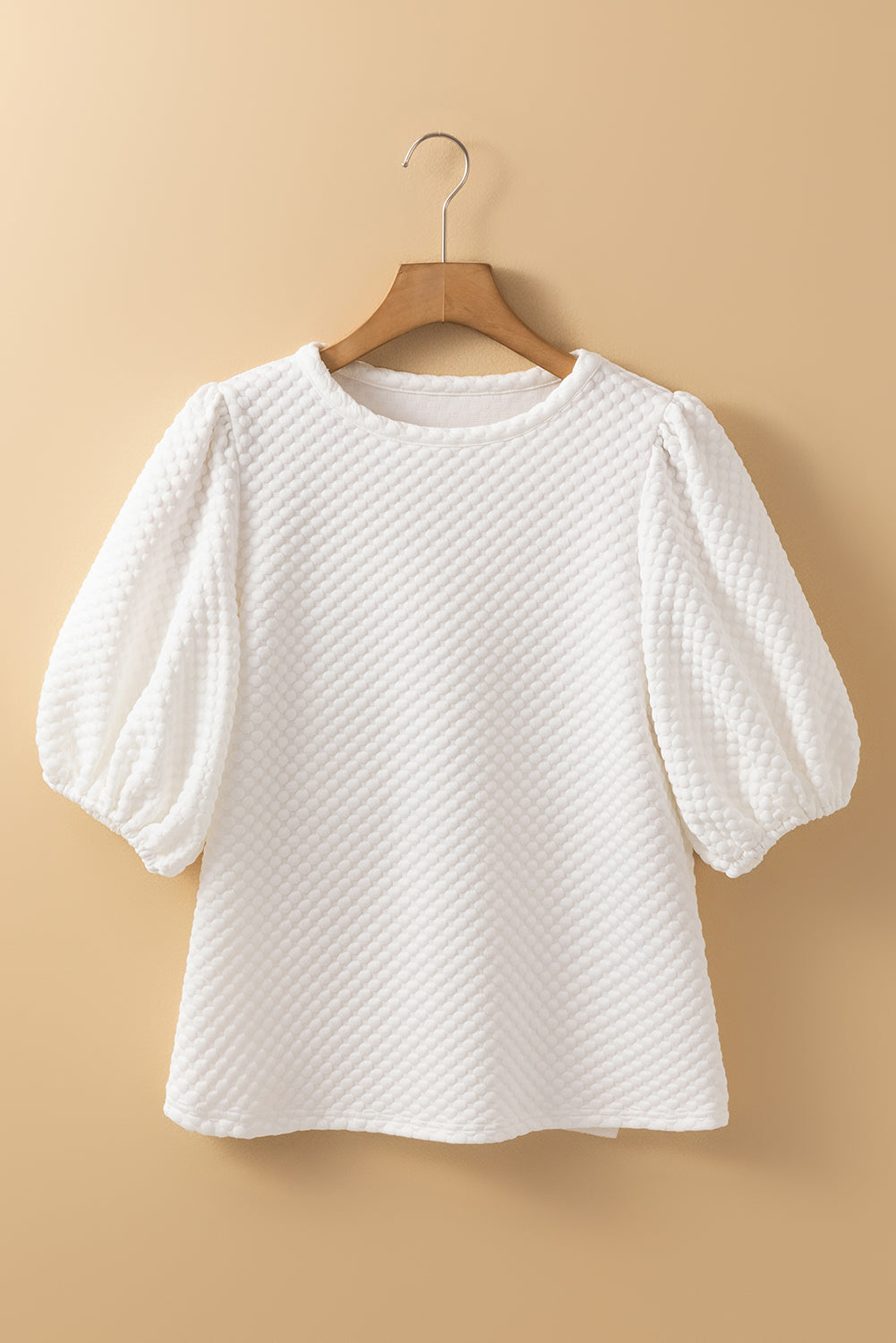 Textured Round Neck Puff Sleeve Blouse nt