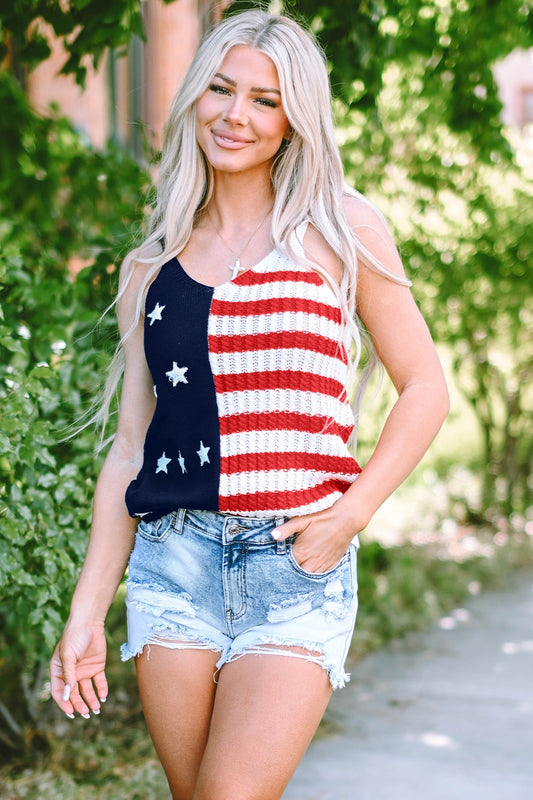 Devine US Flag Round Neck Long Sleeve Knit Top