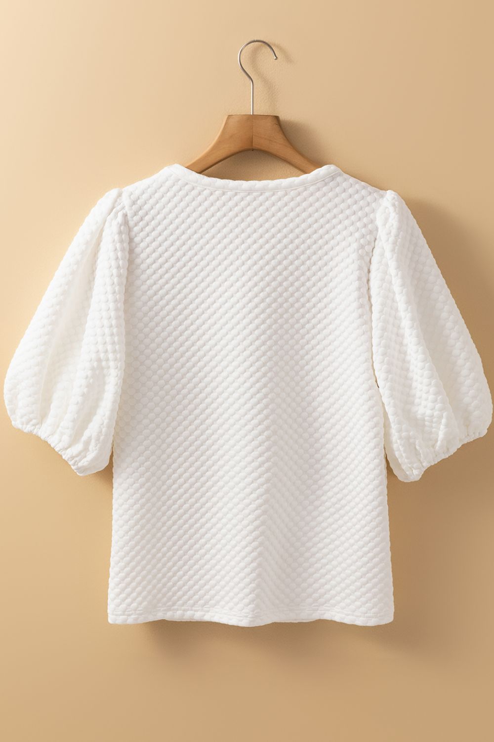 Textured Round Neck Puff Sleeve Blouse nt